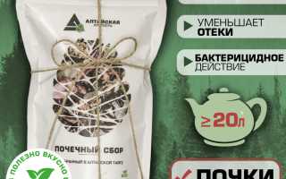 Зеленая аптека: травы с мочегонным эффектом и особенность их применения