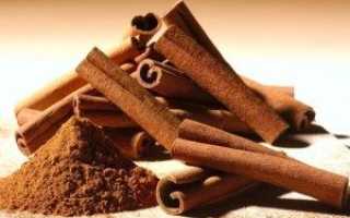 Ароматная пряность корица – польза и вред от употребления