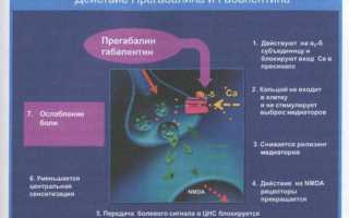 Инструкция по применению препарата Прегабалин Канон и его аналоги