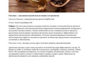 Гвоздика – польза и вред организму