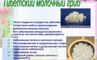 Польза и вред молочного гриба, о которых следует знать