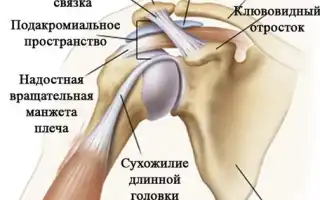 Возможные причины боли в плечевом суставе, лечение и профилактика