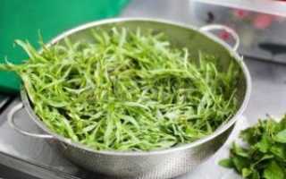 Тархун — польза и вред ароматной травы