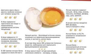 Называны плюсы и минусы употребления яичных желтков