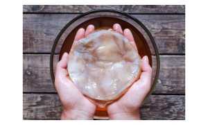 Полезные свойства и противопоказания чайного гриба