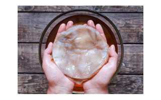 Полезные свойства и противопоказания чайного гриба