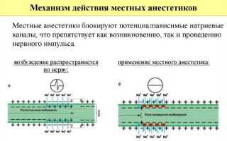 Инструкция по применению глазных капель Лидокаин и отзывы о препарате
