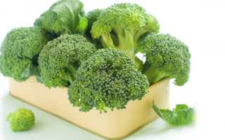 Капуста брокколи: польза и вред продукта