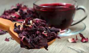 Напиток фараонов каркаде – польза и вред при употреблении