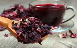 Напиток фараонов каркаде – польза и вред при употреблении