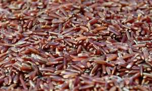 Красный рис в борьбе холестерином