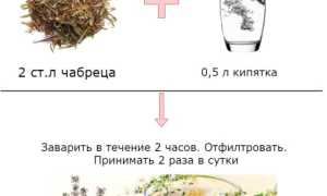 Чабрец – лечебные свойства и противопоказания