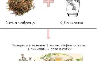 Чабрец – лечебные свойства и противопоказания