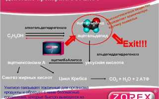 Инструкция по применению препарата Зорекс от похмелья и его аналоги