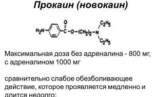 Инструкция и особенности применения Новокаиновой мази от геморроя