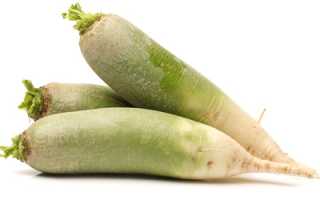 Зелёная редька: польза и вред для организма
