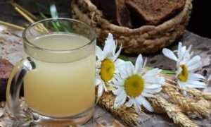 Квас из овса — польза и вред исконно русского напитка