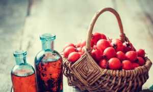 Боярышник: полезные свойства и противопоказания