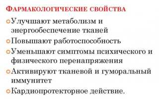 ТОП 12 недорогих аналогов препарата Фенибут, которые продаются без рецепта