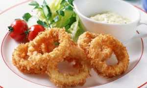 Кальмары: польза и вред обитателей морских глубин