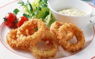 Кальмары: польза и вред обитателей морских глубин