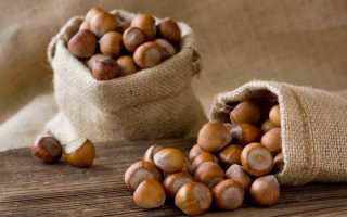 Настоящая находка — лесной орех: польза и вред