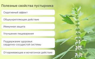 Инструкция по применению пустырника и его лечебные свойства