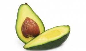 Авокадо: польза и вред в питании человека