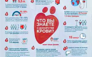 Сдача крови на донорство – польза и вред процедуры