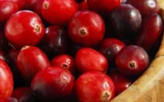 Клюква при простуде: морсы и лекарства из лечебной ягоды