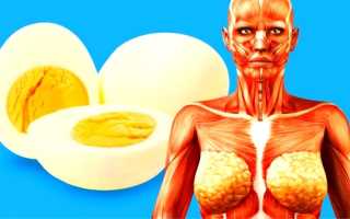 Что будет, если каждый день съедать по два яйца