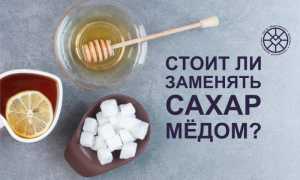 Заменять или не заменять сахар мёдом, рекомендации экспертов