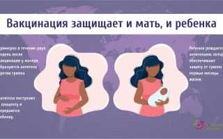 Можно ли делать прививку от гриппа во время беременности: за и против