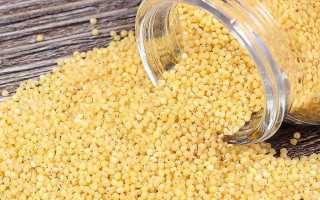 Солнечное пшено: польза и вред крупы для организма