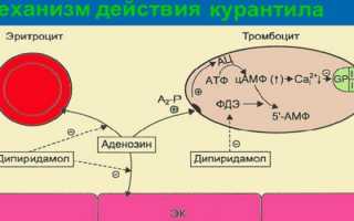 Можно ли применять вместе препараты Актовегин и Курантил, какой из них лучше?