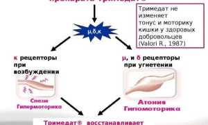 ТОП 8 недорогих аналогов препарата Тримедат: список схожих по веществу