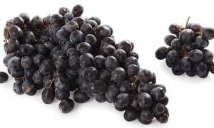 Кишмиш – польза и вред ягоды