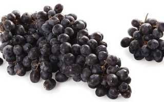 Кишмиш – польза и вред ягоды