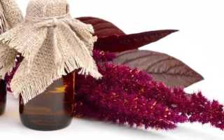 Чудодейственное средство: что такое амарантовое масло и как его использовать?