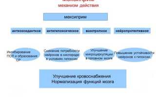 Чем отличается лекарство Мексидол от Мексиприма, какой из препаратов лучше и эффективнее?