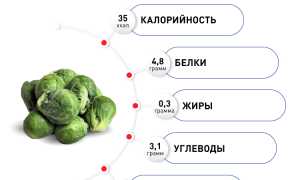 Все, что нужно знать о брюссельской капусте: польза, лечебные свойства и противопоказания к употреблению