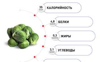 Все, что нужно знать о брюссельской капусте: польза, лечебные свойства и противопоказания к употреблению