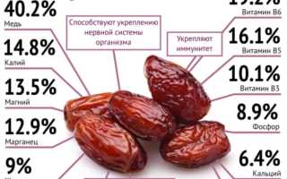 Что будет с организмом, если каждый день съедать несколько фиников