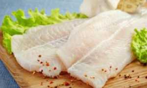 Необычная рыба пангасиус: польза и вред