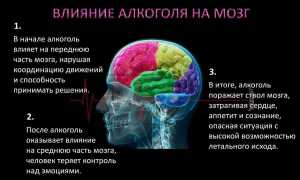 Что происходит с мозгом при употреблении алкогольных напитков