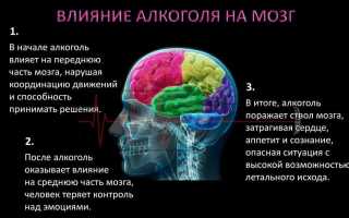 Что происходит с мозгом при употреблении алкогольных напитков