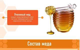 Мед пчелиный — польза и вред для человека