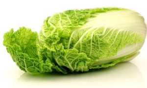 Пекинская капуста — польза и вред императорского овоща