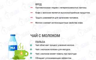 Почему не стоит добавлять молоко в чай