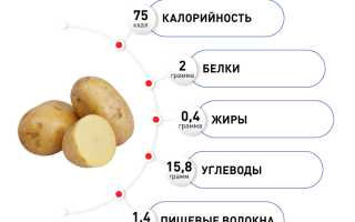 Картофель: польза и вред для организма